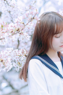 蜜桃女孩第一季樱花动漫